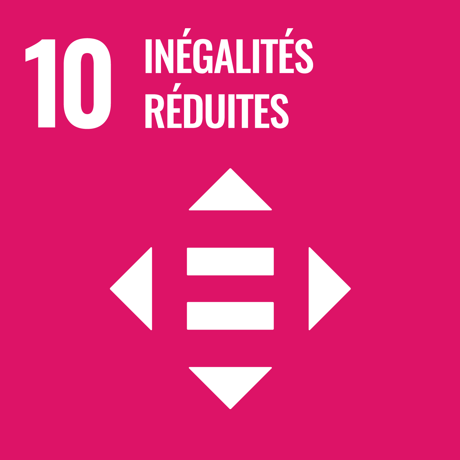 ODD 10 — Inégalités réduites