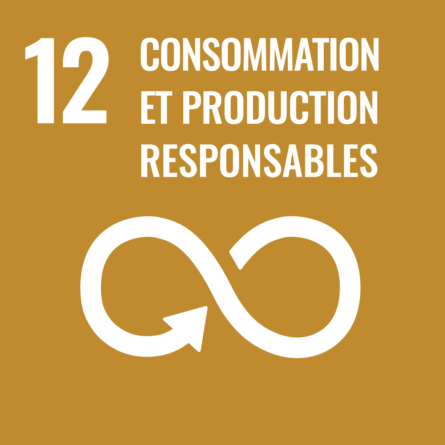ODD 12 — Consommation et production responsables