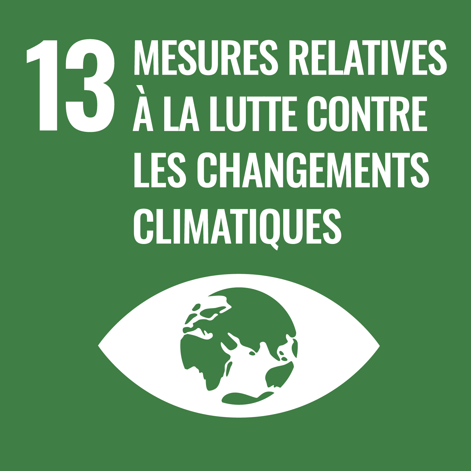 ODD 13 — Action climatique